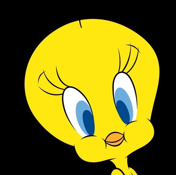 tweetybird8